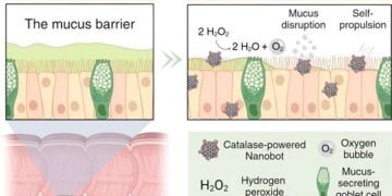 Enzyme-Powered ‘Snot Bots’. Nano Digest.