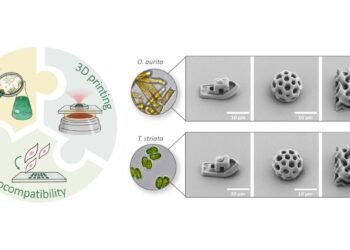 3D LASER PRINTING WITH BIOINKS FROM MICROALGAE.