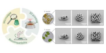 3D LASER PRINTING WITH BIOINKS FROM MICROALGAE.
