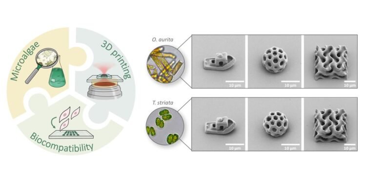 3D LASER PRINTING WITH BIOINKS FROM MICROALGAE.