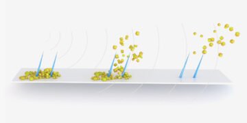 Ultrasound and Cilia to Clean Implanted Stents and Catheters