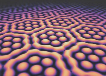 Light fields with extraordinary structure.