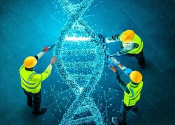 How human cells repair damaged DNA