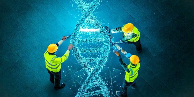 How human cells repair damaged DNA