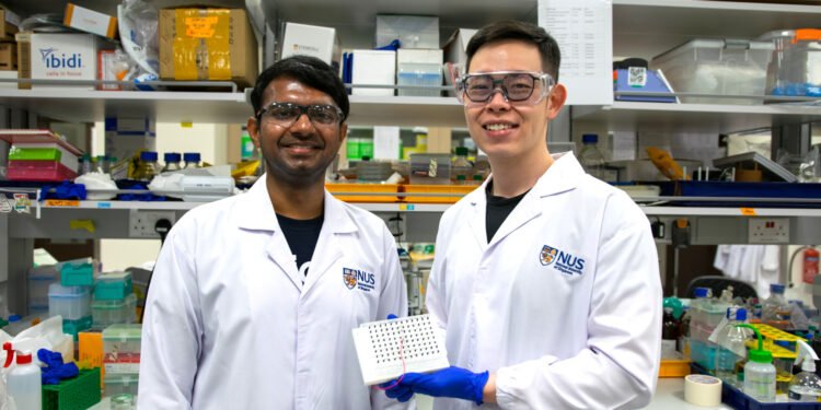 Boosting Cancer Treatment.