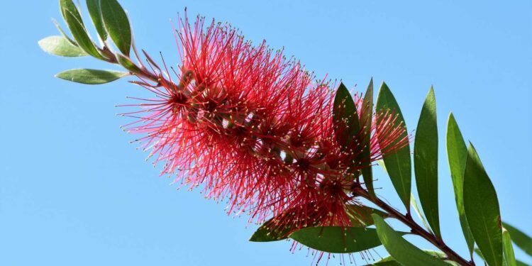 New Printable, Injectable Materials for Advanced Medical Applications