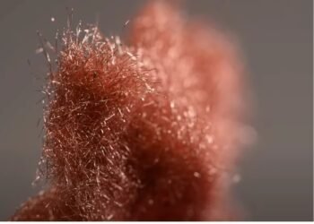 Metal fleece: material for the batteries of the future