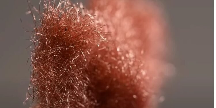 Metal fleece: material for the batteries of the future