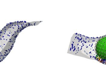 Researchers crack the code of body’s ancient immune defense.