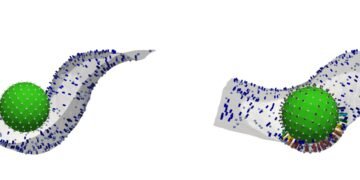 Researchers crack the code of body’s ancient immune defense.