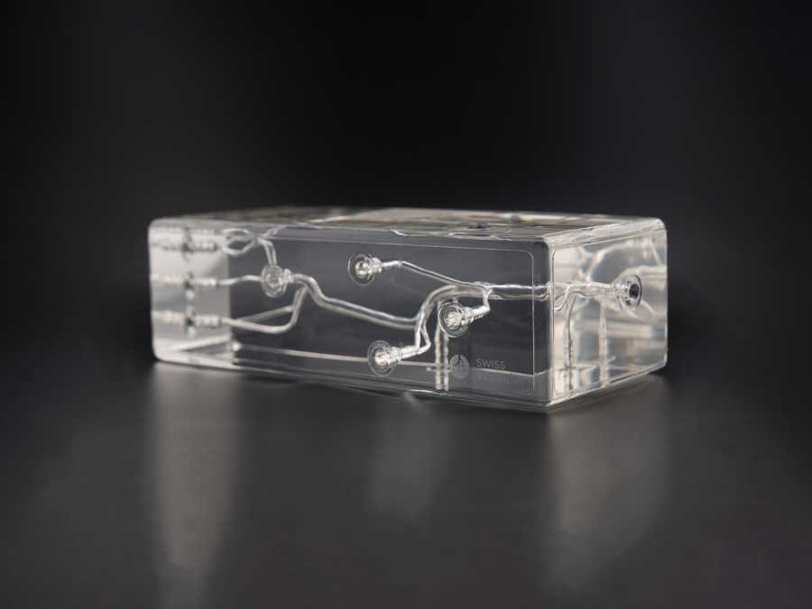 Practising medicine on a lifelike silicone model