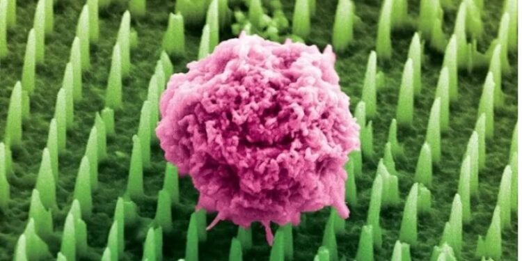 Nanoneedles patch for painless Cancer Biopsies
