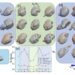 Illuminate previously unseen properties of materials
