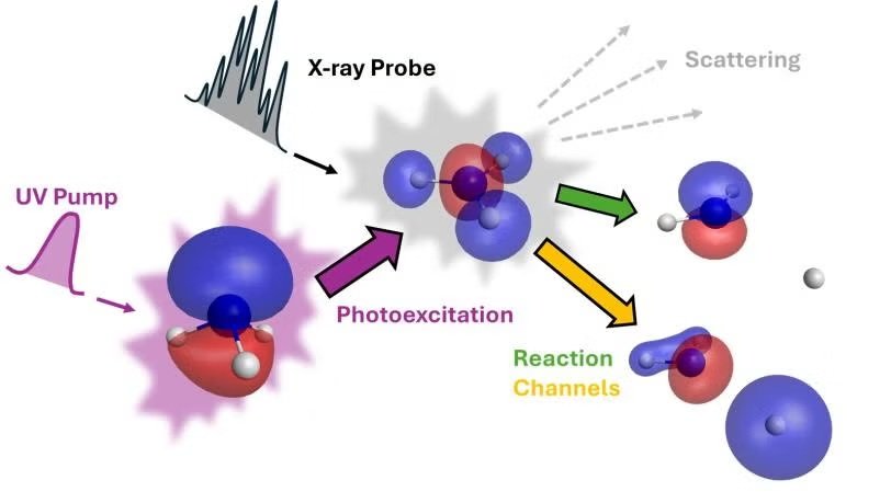Researchers track the motion of a single electron during a chemical reaction.