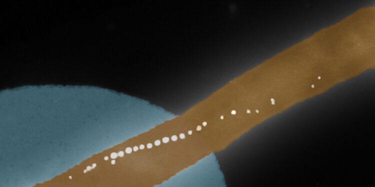 Bacteria with a built-in compass.