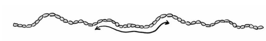  Why you can't tie knots in four dimensions