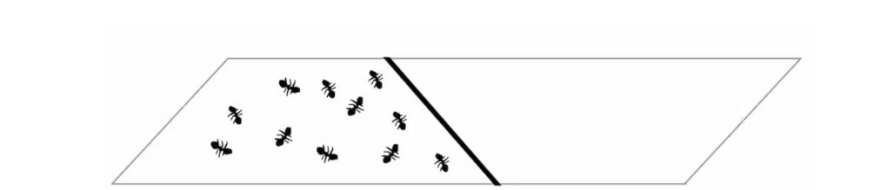 Why you can't tie knots in four dimensions
