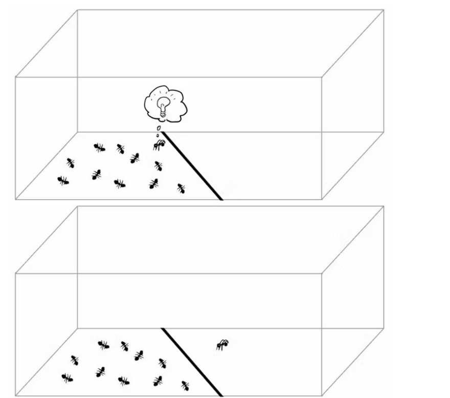 Why you can't tie knots in four dimensions