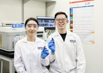 “Barcodes” help gold nanoparticles to strike cancer energy centres
