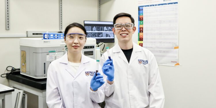 “Barcodes” help gold nanoparticles to strike cancer energy centres