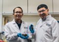 Researchers turned pomegranate peel into a strong water purifier