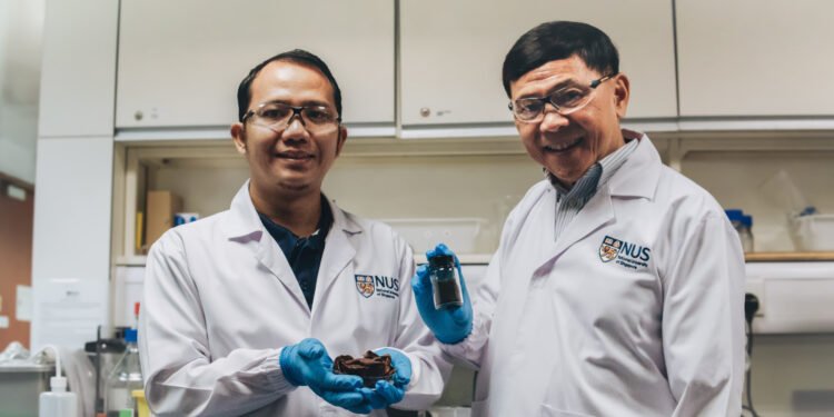 Researchers turned pomegranate peel into a strong water purifier