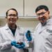 Researchers turned pomegranate peel into a strong water purifier