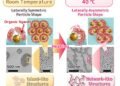 Gold Nanoparticles That Behave Like a Liquid 