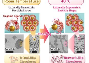 Gold Nanoparticles That Behave Like a Liquid 