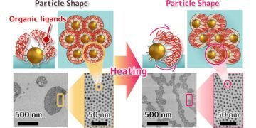 Gold Nanoparticles That Behave Like a Liquid 