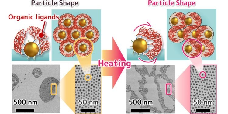 Gold Nanoparticles That Behave Like a Liquid 