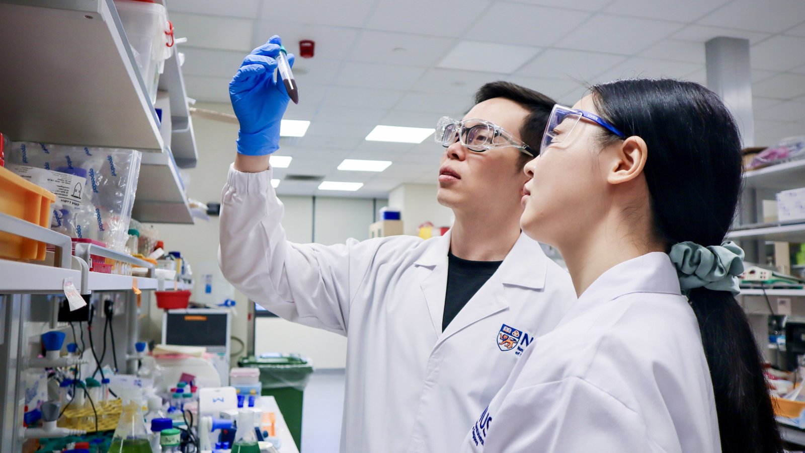  “Barcodes” help gold nanoparticles to strike cancer energy centres