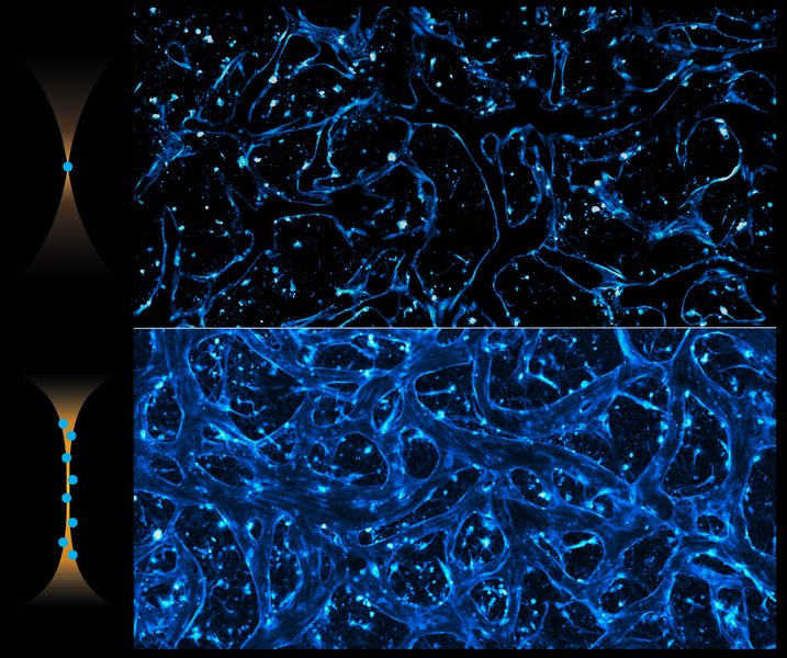 A faster and more precise biomedical imaging technique discovered