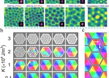 Researchers systematically revealed lattice-driven topological spin structures