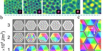 Researchers systematically revealed lattice-driven topological spin structures