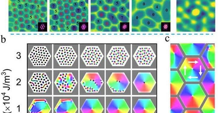 Researchers systematically revealed lattice-driven topological spin structures
