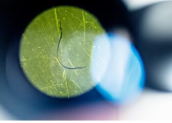 The effect of nanoplastics on brain cells may depend on their size