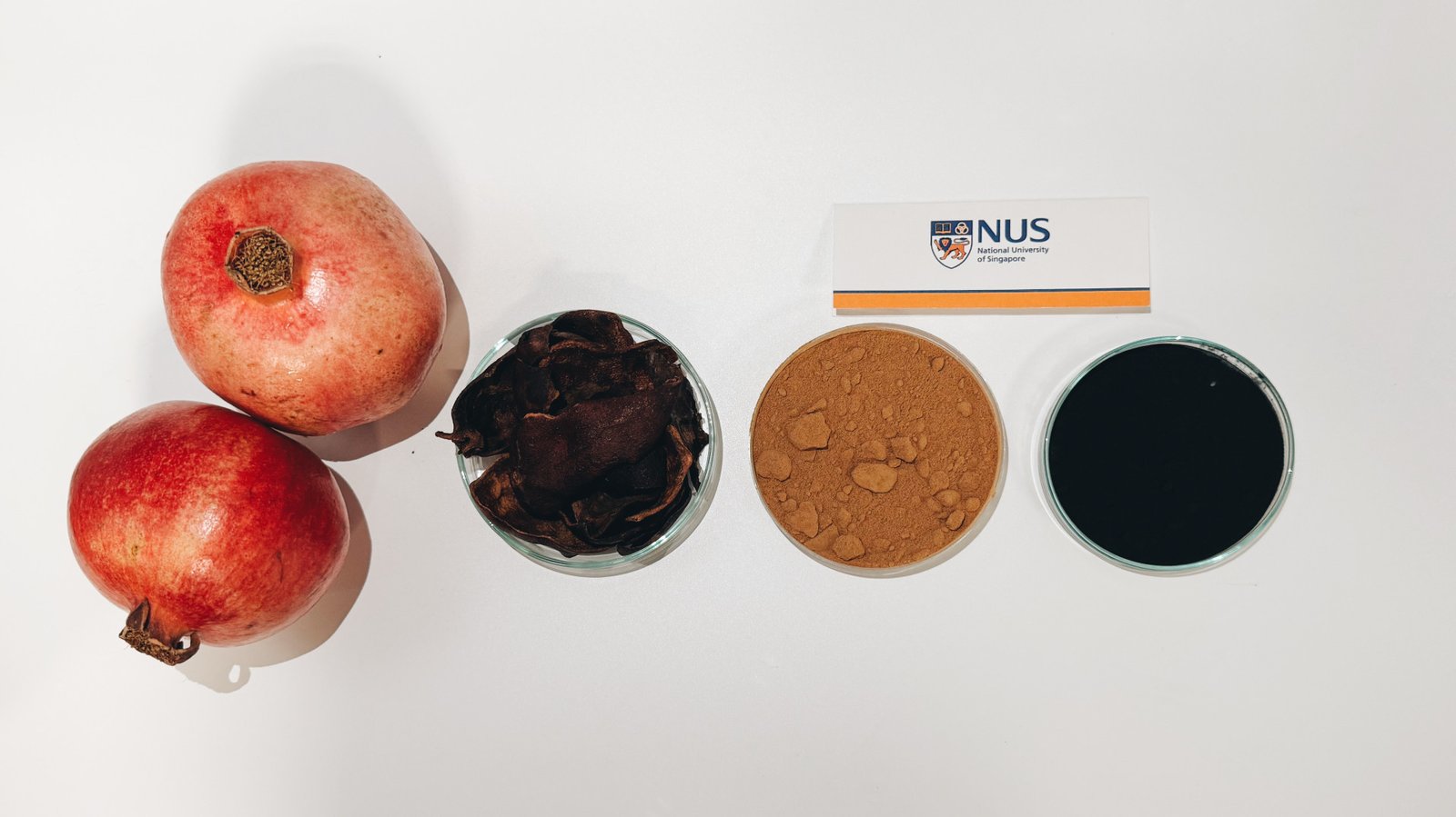 Researchers turned pomegranate peel into a strong water purifier