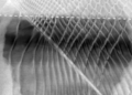 Moiré 2D materials without stacking, twisting developed