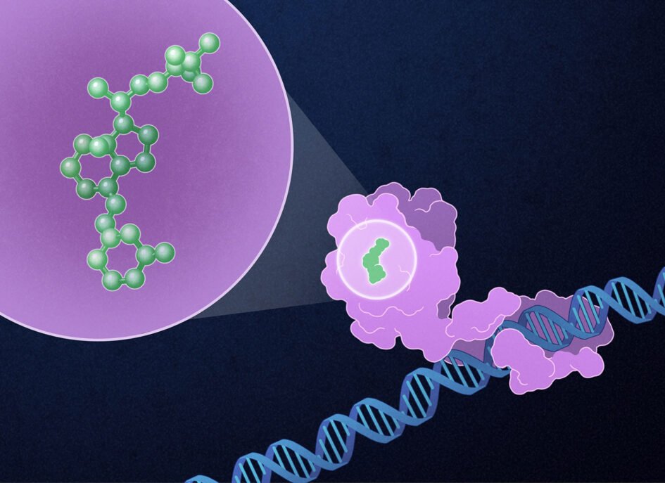 Vitamin D analog helps break down the protection of pancreatic cancer in a clinical trial.